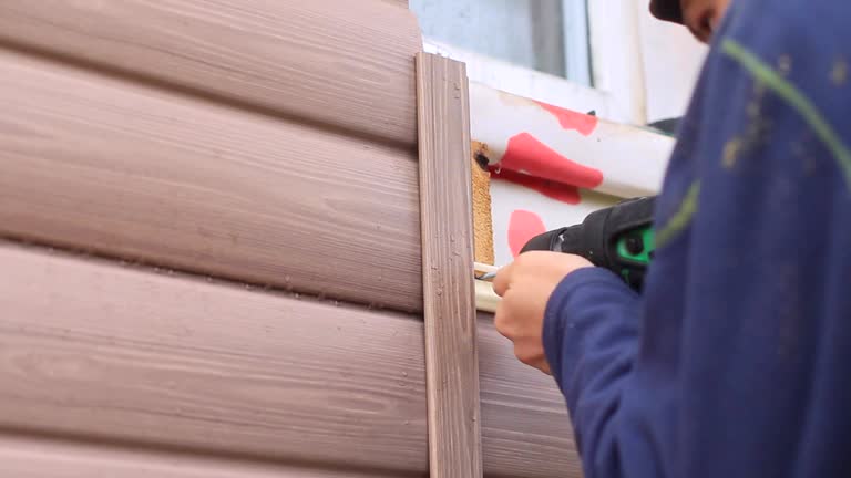 Shed Removal